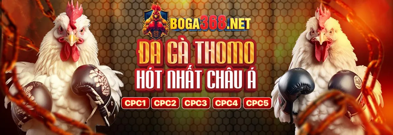 Máy Đánh Bạc tx666 app